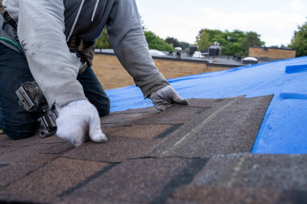 Best Storm Damage Roof Repair  in Brewerton, NY